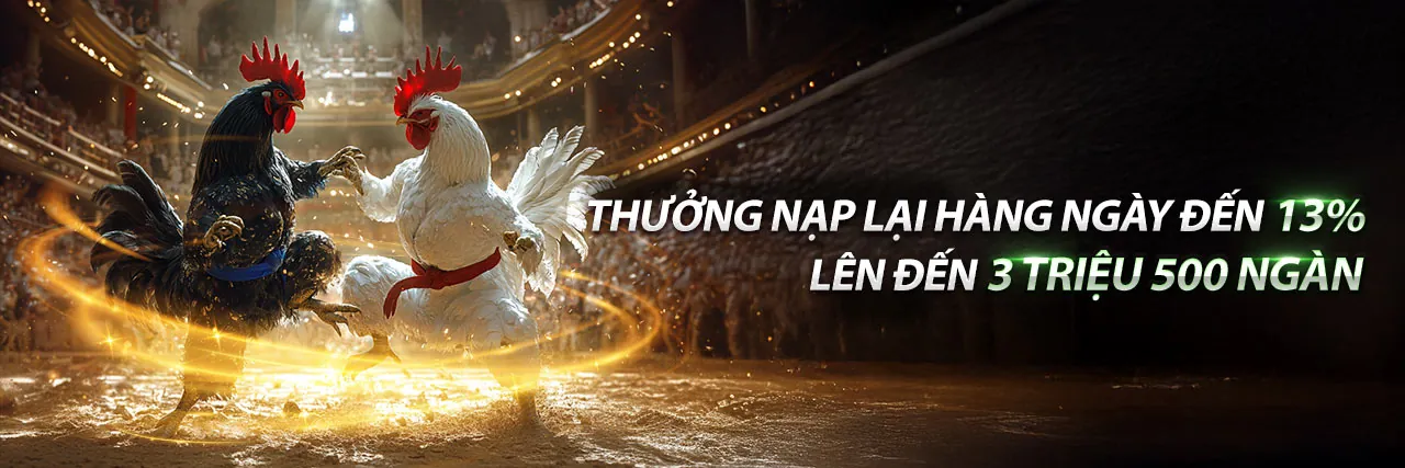 Sân vận động với ánh đèn rực rỡ và không khí sôi động của cá cược thể thao tại gg8816 hiện đang mở